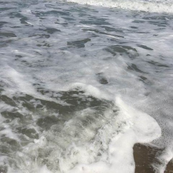 Meet your Posher, Leisha - Picture 1 of 1